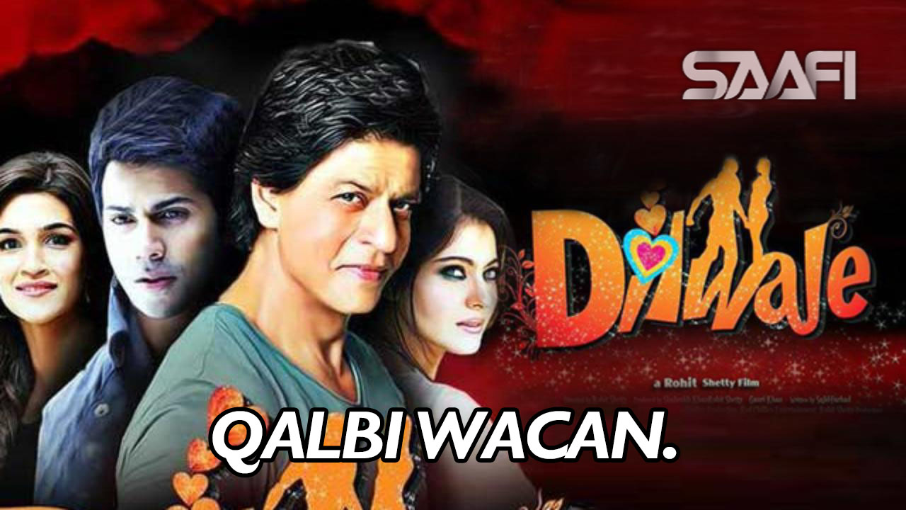 Dilwale 2015 Saafi Films Saafi.tv web