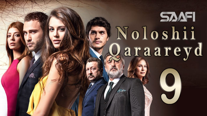 Noloshii qadhaadheyd Part 9 Turkish is taking over Hollywood & Bollywood