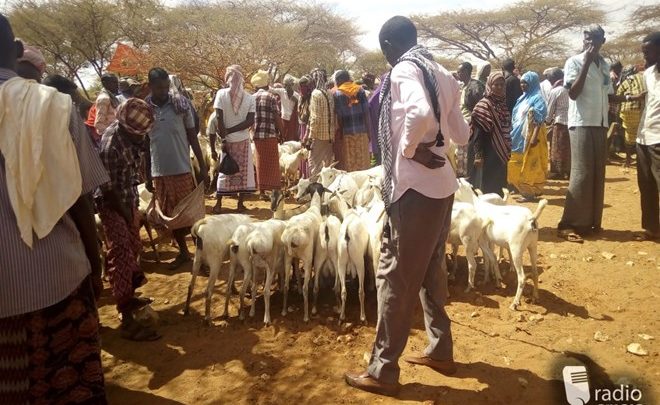 Mobile money baffles pastoralists in central Somalia