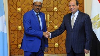 Farmajo Holds Phone Talks With His Egyptian Counterpart