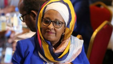 Somali Officials Says Ready To Redraw Electoral Boundaries