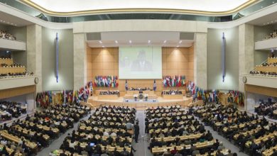 Somalia's delegation for the ILO raises eyebrows