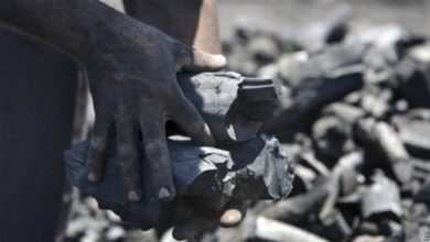 Jubbaland President Restarts Illegal Charcoal Exports