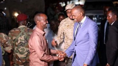Somali PM Inspects Security Checkpoints In Mogadishu