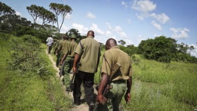 Kenyan Security Forces Detain 10 Somalis At The Border
