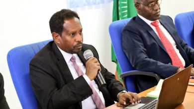 Mogadishu Security Is Improving, Says Mayor