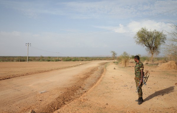 Ethiopian rebel group declares ceasefire in wake of reforms