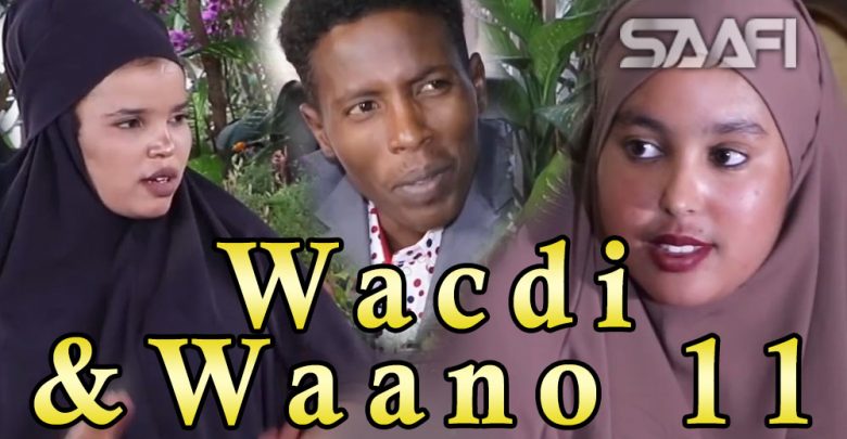 Musalsalka Wacdi & Waano Part 11